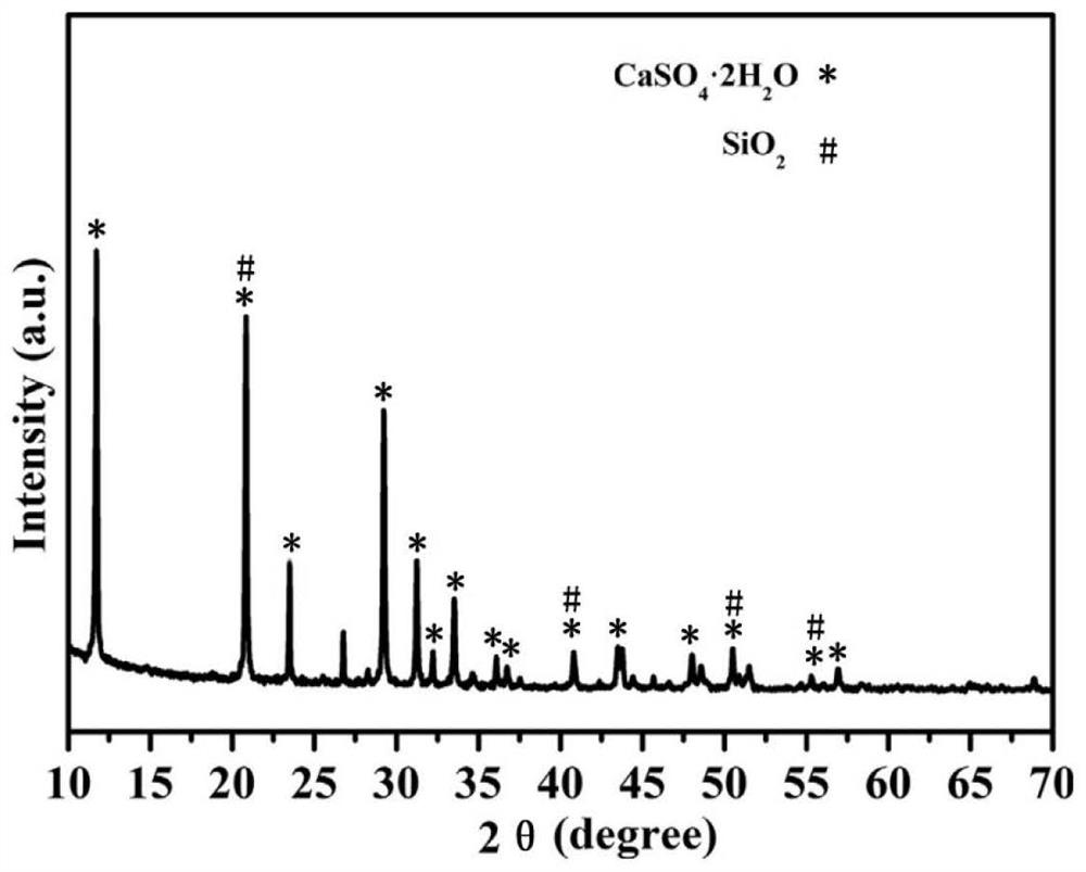 Calcium oxide-loaded porous alkaline carbon material with magnetic property as well as preparation method and application of calcium oxide-loaded porous alkaline carbon material