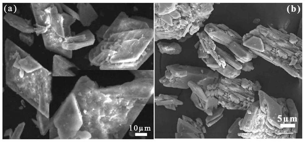 Calcium oxide-loaded porous alkaline carbon material with magnetic property as well as preparation method and application of calcium oxide-loaded porous alkaline carbon material