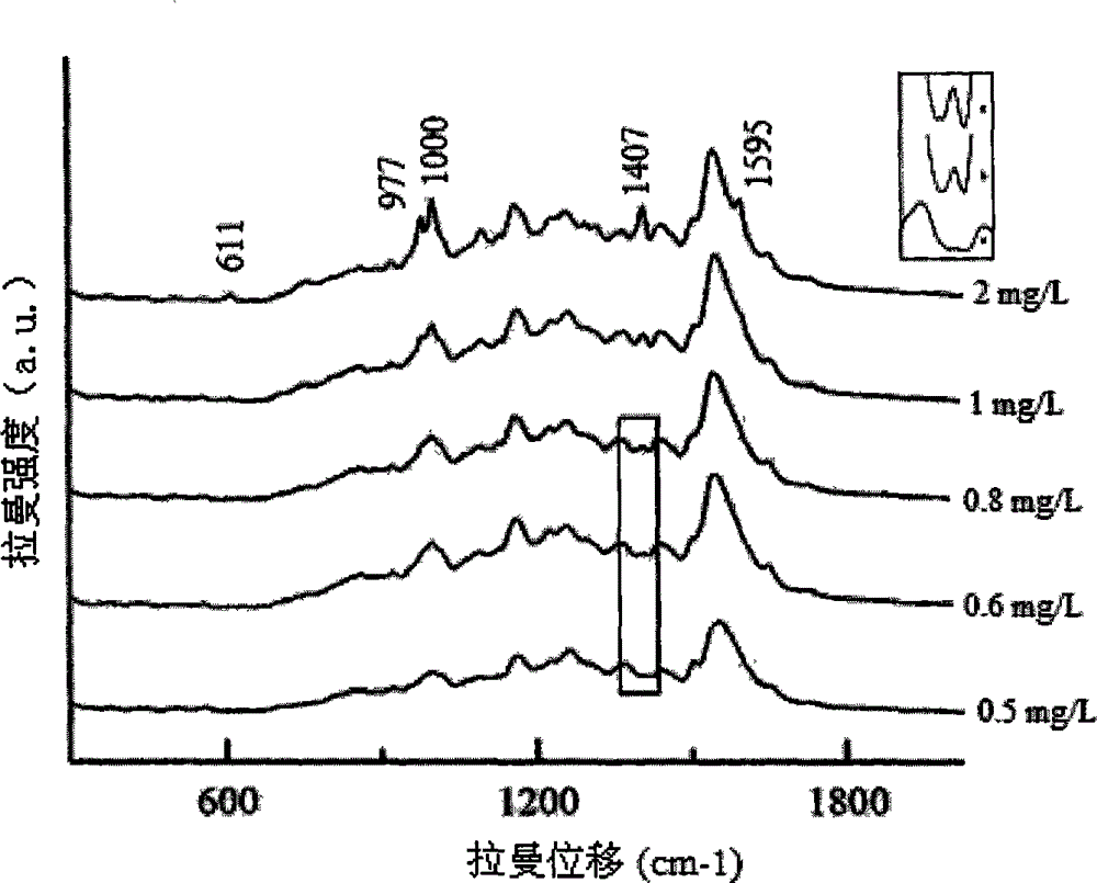 Fast detection method for surface enhanced Raman scattering of trace pesticide residues in oranges