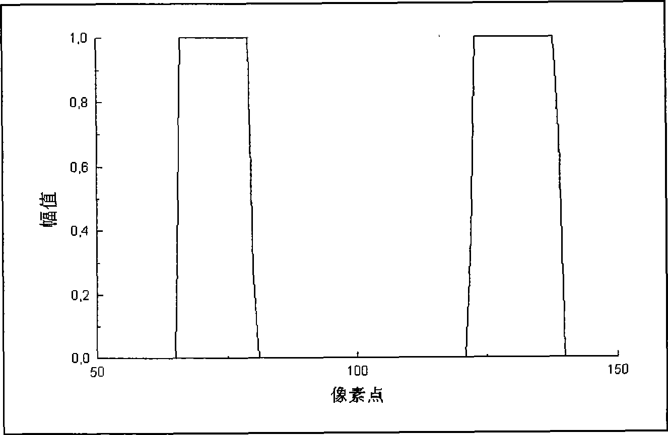 Video information leakage resistance method and processing device