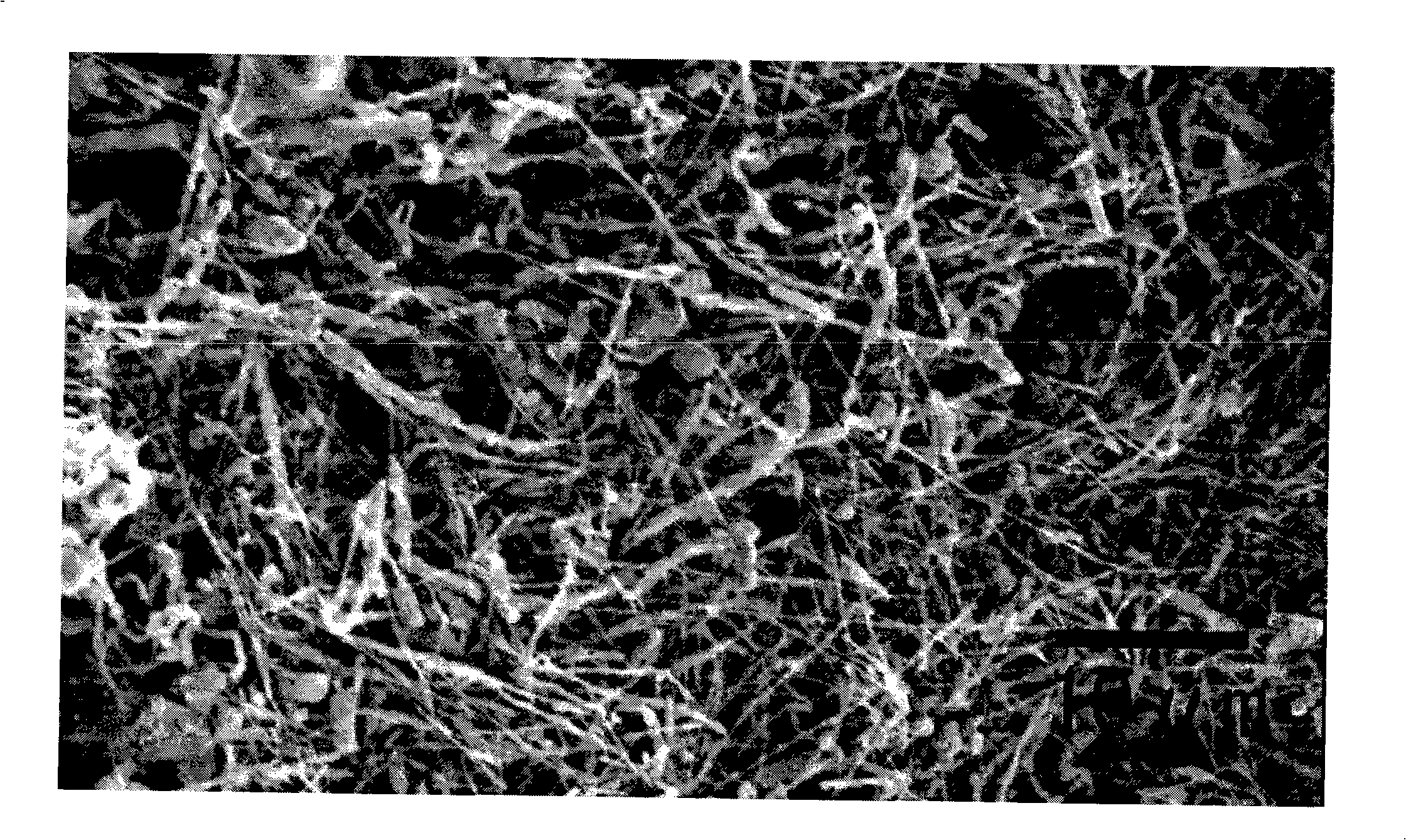 Method for preparing silver nano-wire in large batch