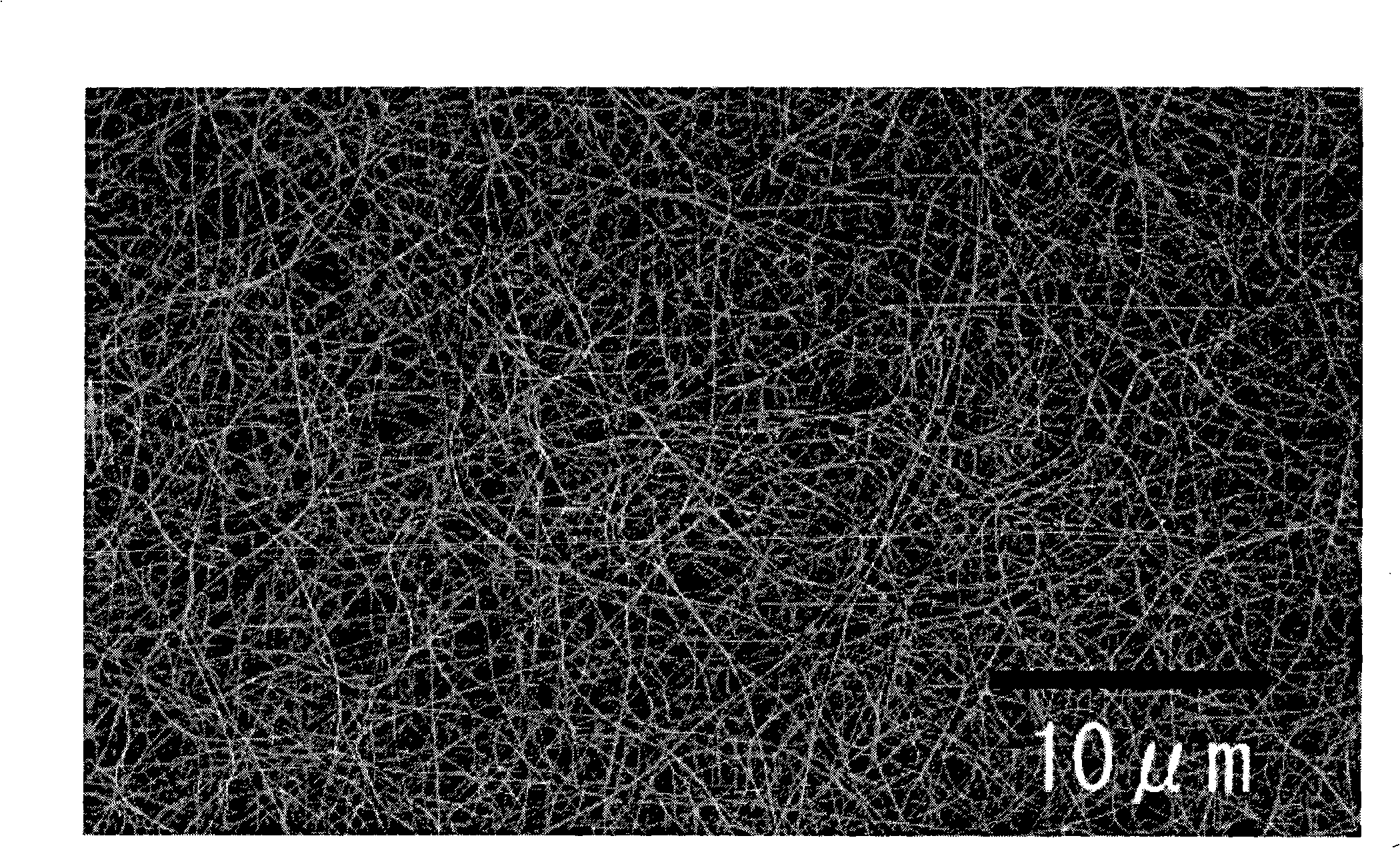 Method for preparing silver nano-wire in large batch