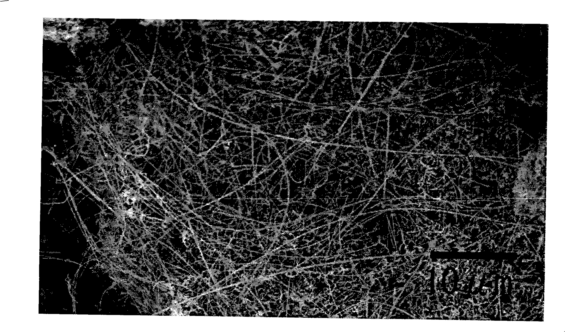 Method for preparing silver nano-wire in large batch