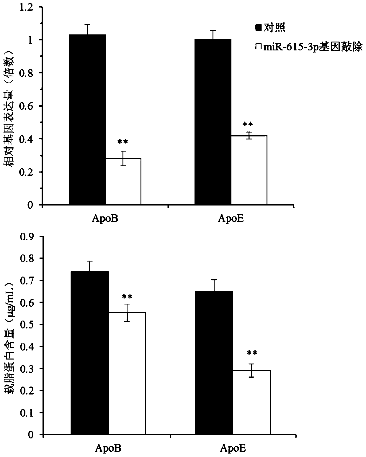 Novel target for preventing and treating hepatitis C and CRISPR-Cas9 targeting system and application thereof