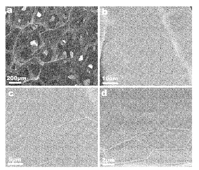 Graphene foam with three dimensional fully connected network and macroscopic quantity preparation method thereof