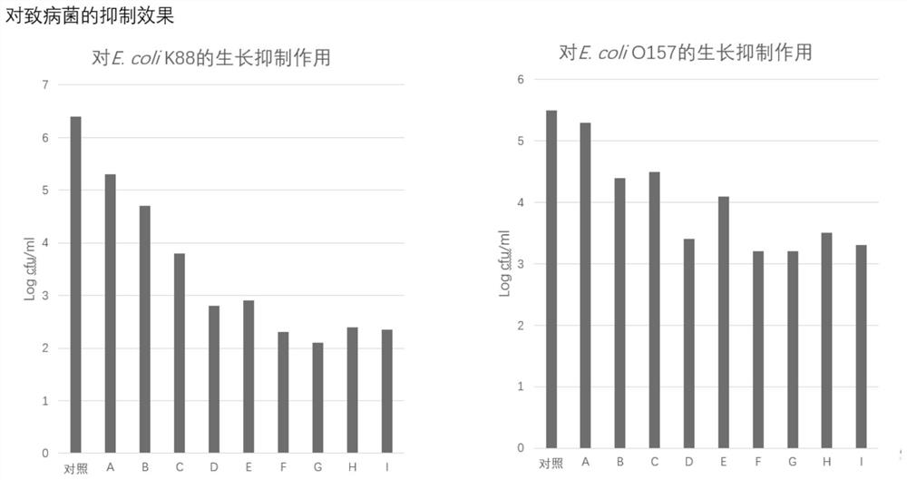 Prebiotic composition and application thereof in inhibiting pathogenic bacterium adhesion and improving intestinal epithelial cell barrier