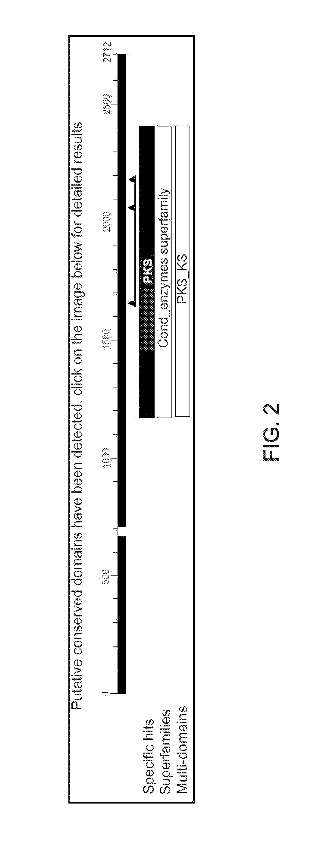 Blood pressure reducing composition fabricated by using monascus purpureus ntu 568 and primer for the monascus purpureus ntu 568