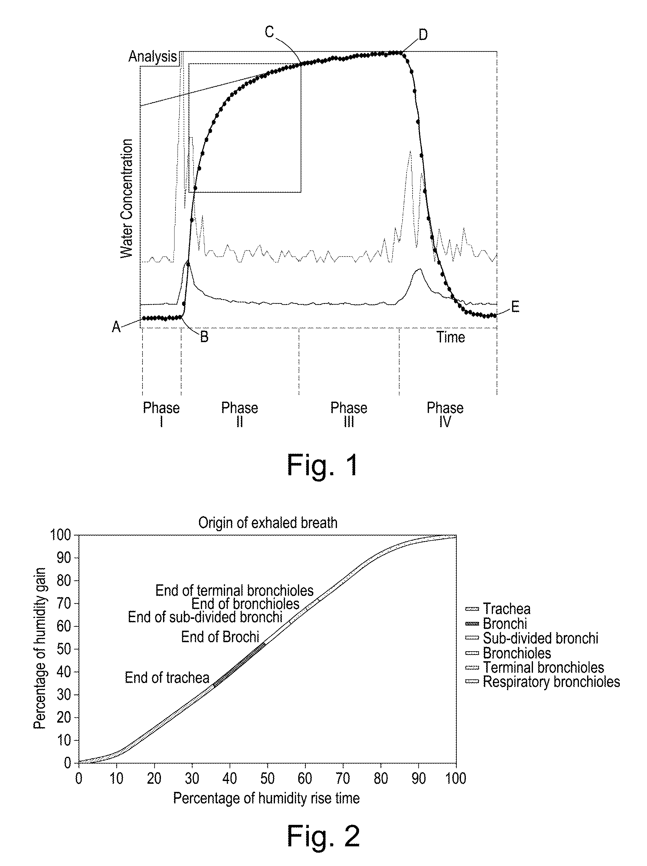 Detection of Respiratory System Lesions