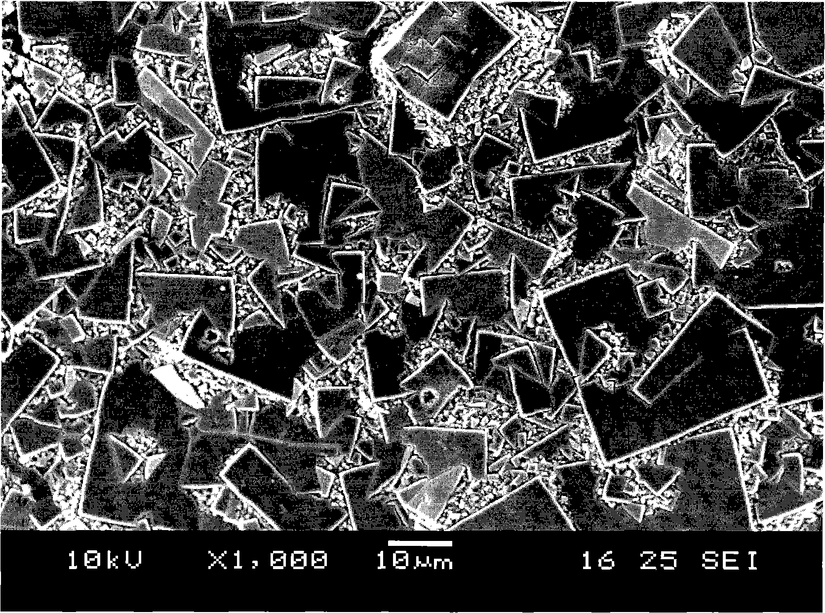 Method for preparing high specific surface diamond electrode