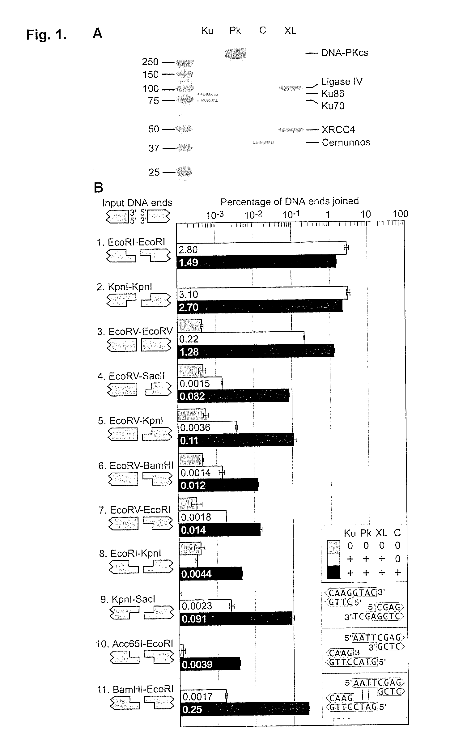 Mismatched end DNA ligase