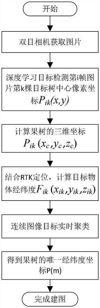 Orchard local sparse mapping method and system based on binocular vision and RTK