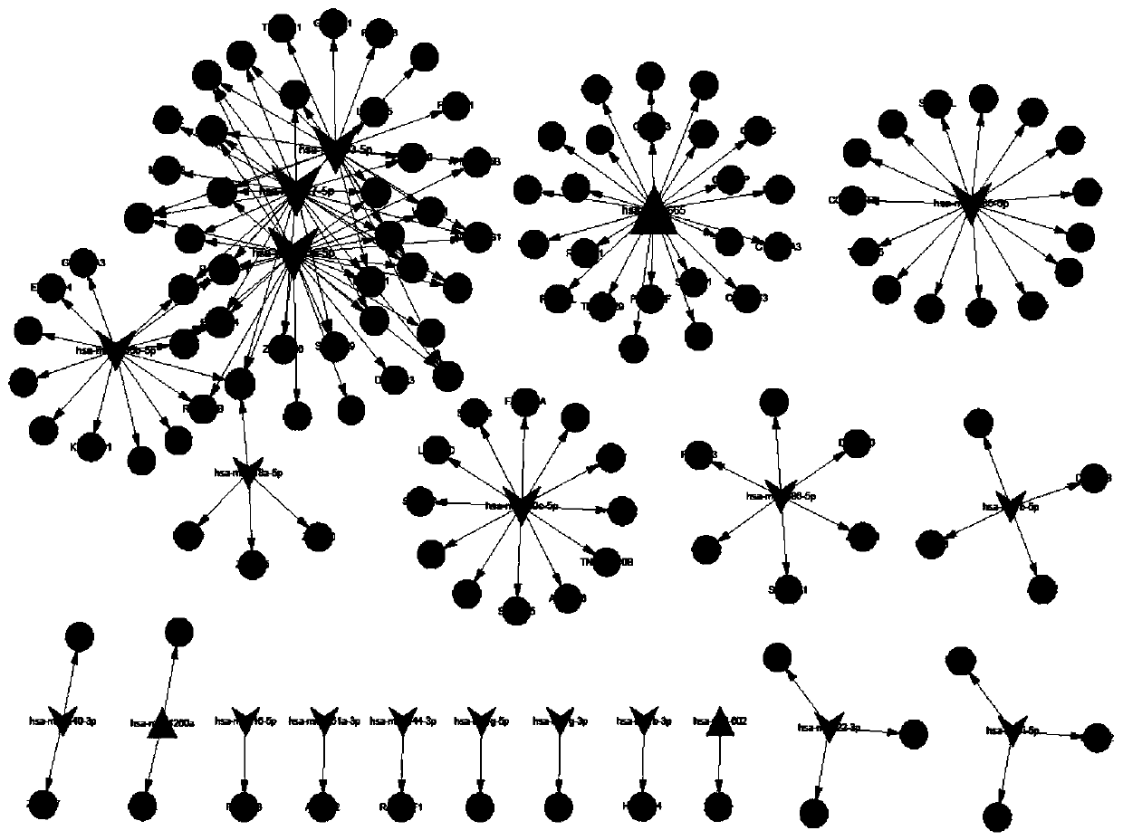 A kind of micro-RNA marker and its application