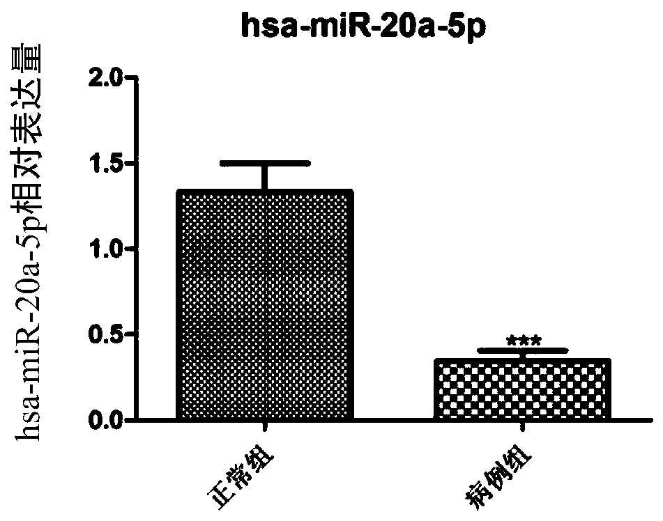 A kind of micro-RNA marker and its application