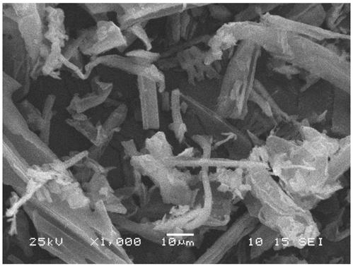 Solidago canadensis L. straw biochar, preparation method and application thereof in removing LAS of detergent waste water