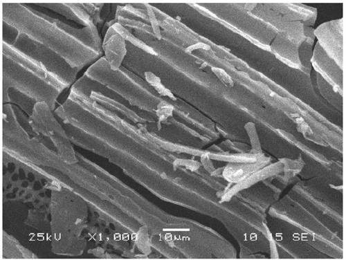 Solidago canadensis L. straw biochar, preparation method and application thereof in removing LAS of detergent waste water