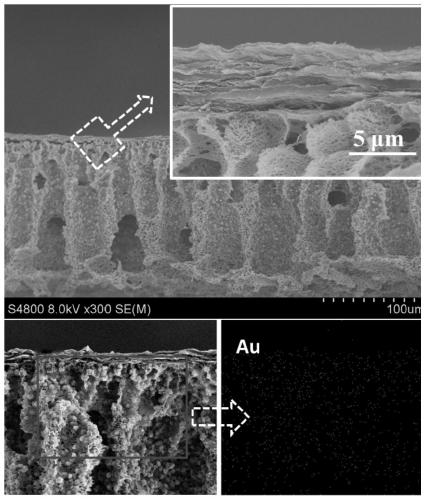 Multifunctional bio-based composite microporous membrane and preparation method thereof