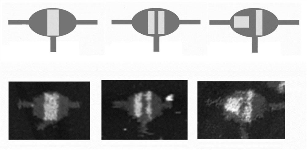 A method and device for realizing a probe machine based on dna computing