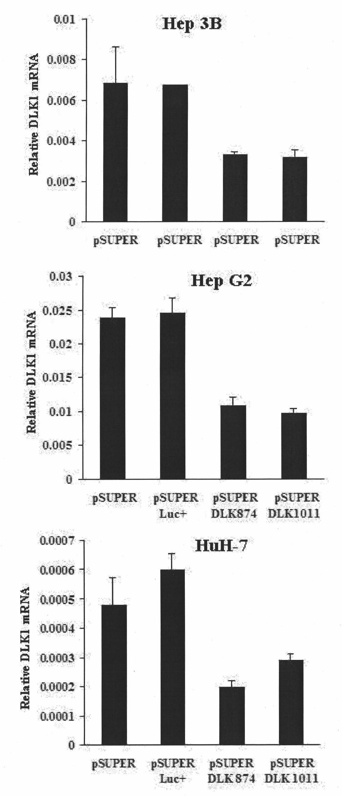 Ribonucleic acid taking liver cancer related gene DLK1 as target spot and application thereof