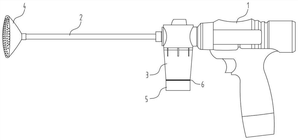 Artificial supplementary pollination method for pomelos