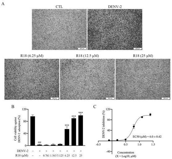 Application of Vina-ginsenoside R18 in preparation of anti-dengue virus pharmaceutical preparation