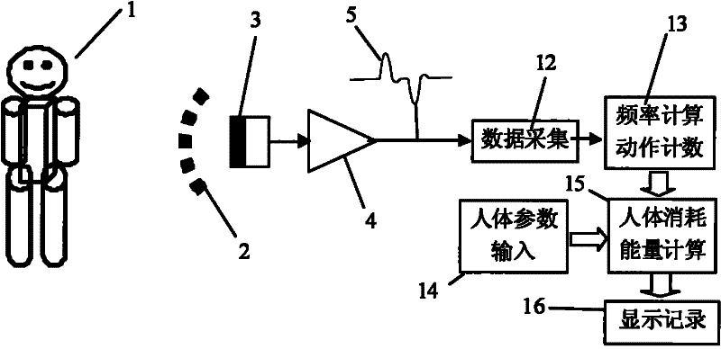 Device and method for measuring energy consumption of human body