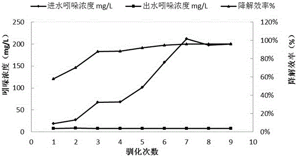 Indole-degrading compound bacterial agent and reaction device thereof