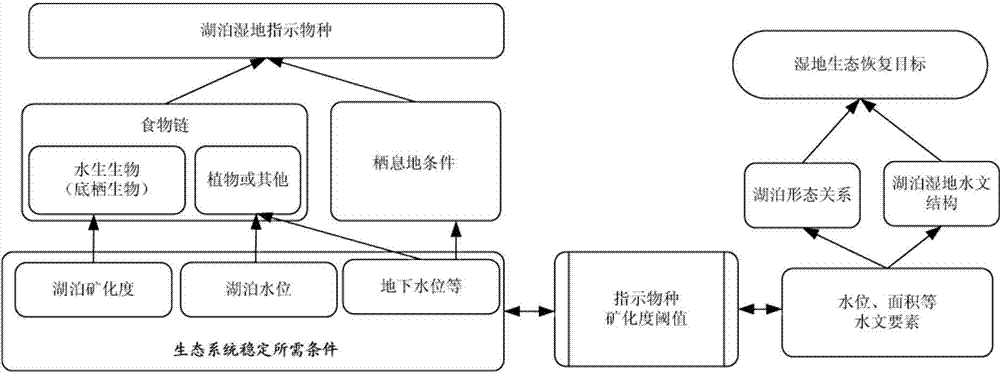 Quantitative calculation method for lake wetland ecological water requirement in arid region