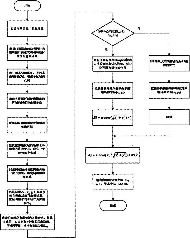 Method for determining position and gesture of ooecium in automatic intracytoplasmic sperm injection