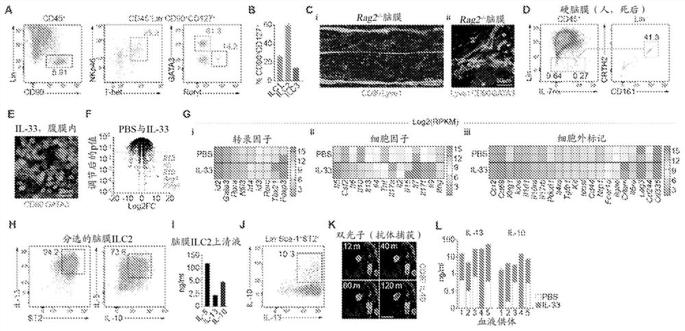 Suppression of microglial activation with innate lymphoid cells