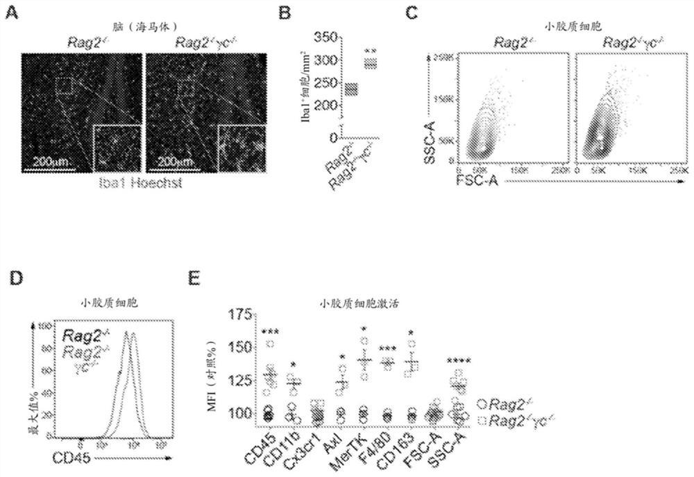 Suppression of microglial activation with innate lymphoid cells