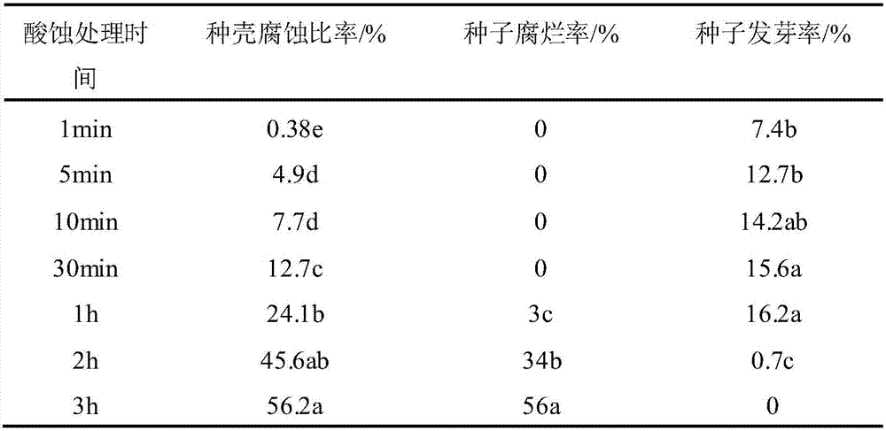 Ilex dabieshanensis seed germination method