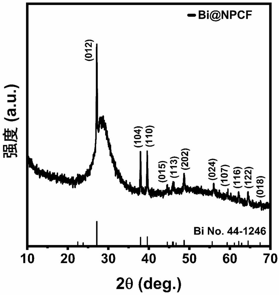 Bismuth-based nano material as well as preparation method and application thereof