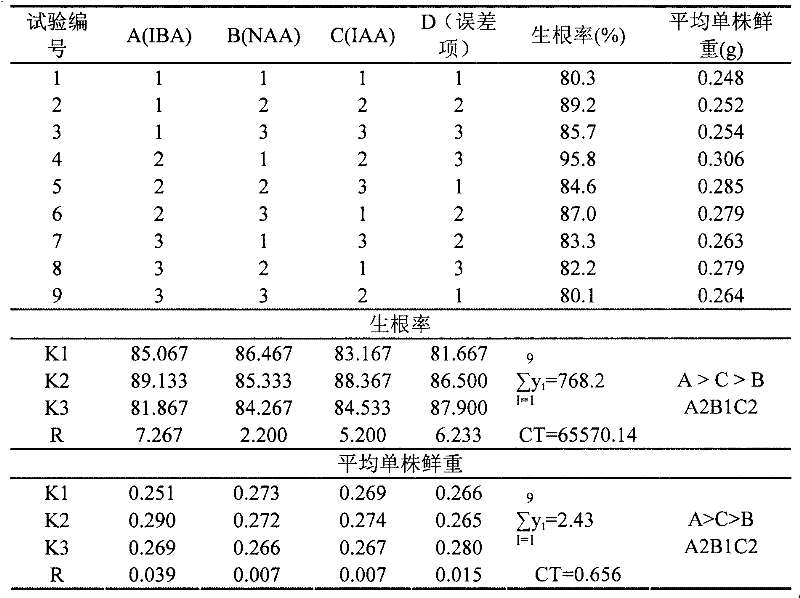 Rooting method of subprostrate sophora root tissue culture seedling leaf stalks