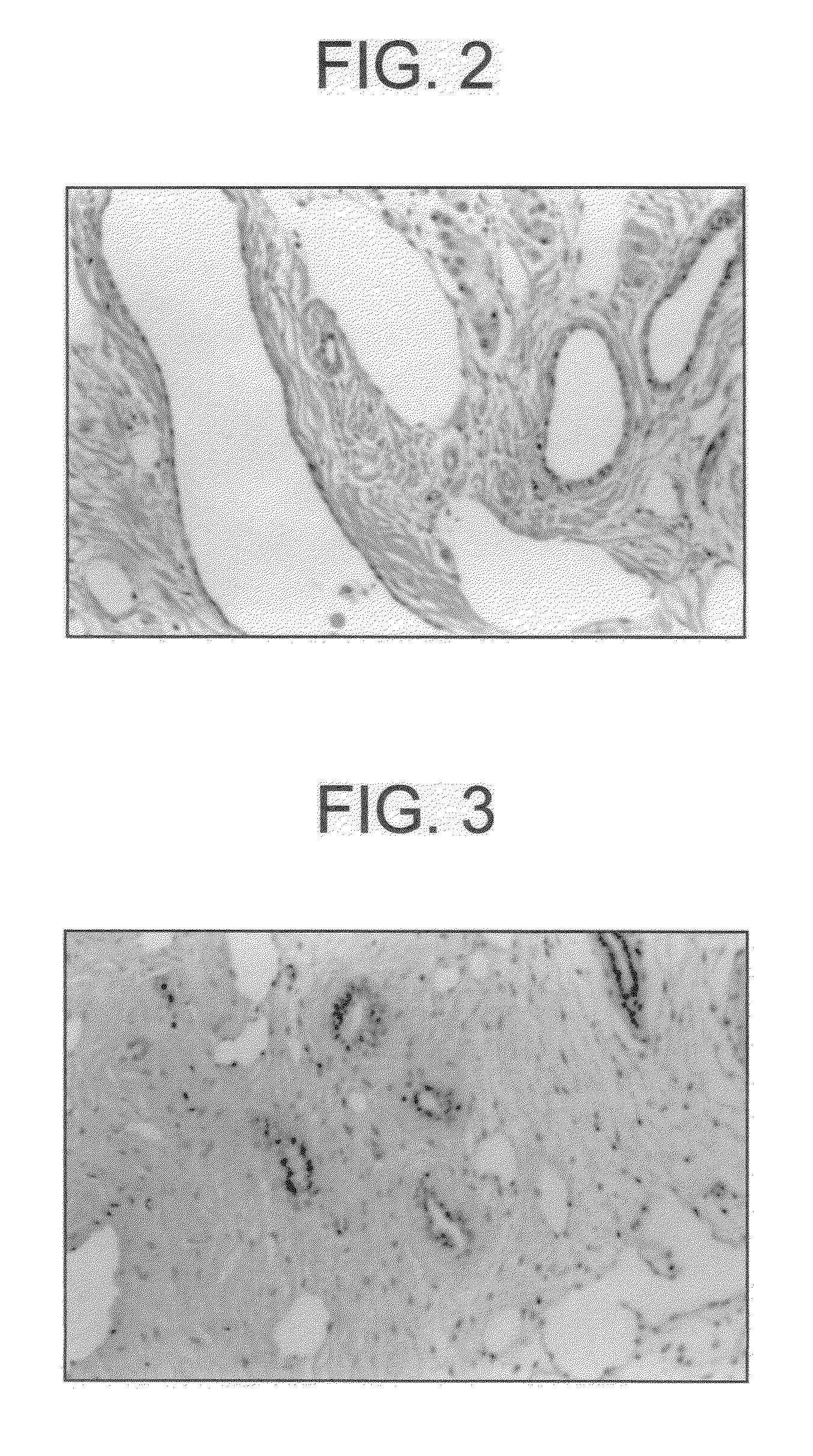 Method for improving the quality of meat by reducing boar taint