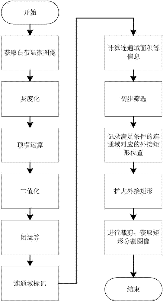 Method for automatically recognizing white blood cells in leucorrhea based on convolution neural network