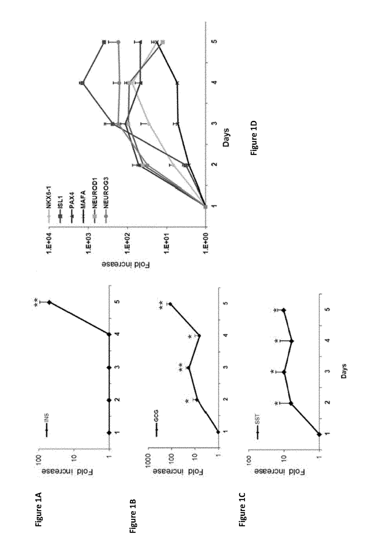 Methods of transdifferentiation and methods of use thereof