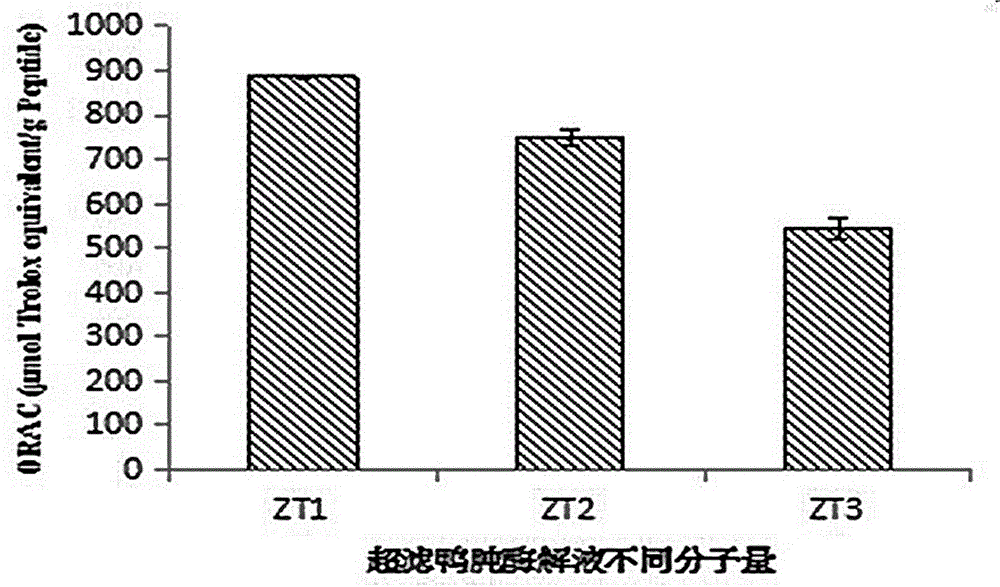 Duck gizzard duck's gizzard antioxidative peptide and application thereof