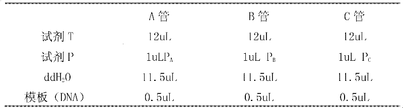 Kit for detecting drug resistance of culex pipiens and special primer thereof