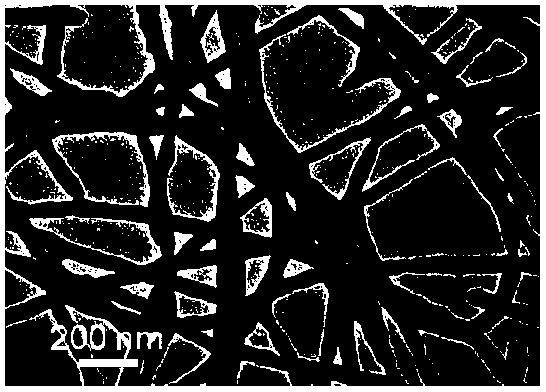 Preparation method of Fe and N-doped porous carbon nanofiber applicable to cathode catalyst for polymer fuel cell