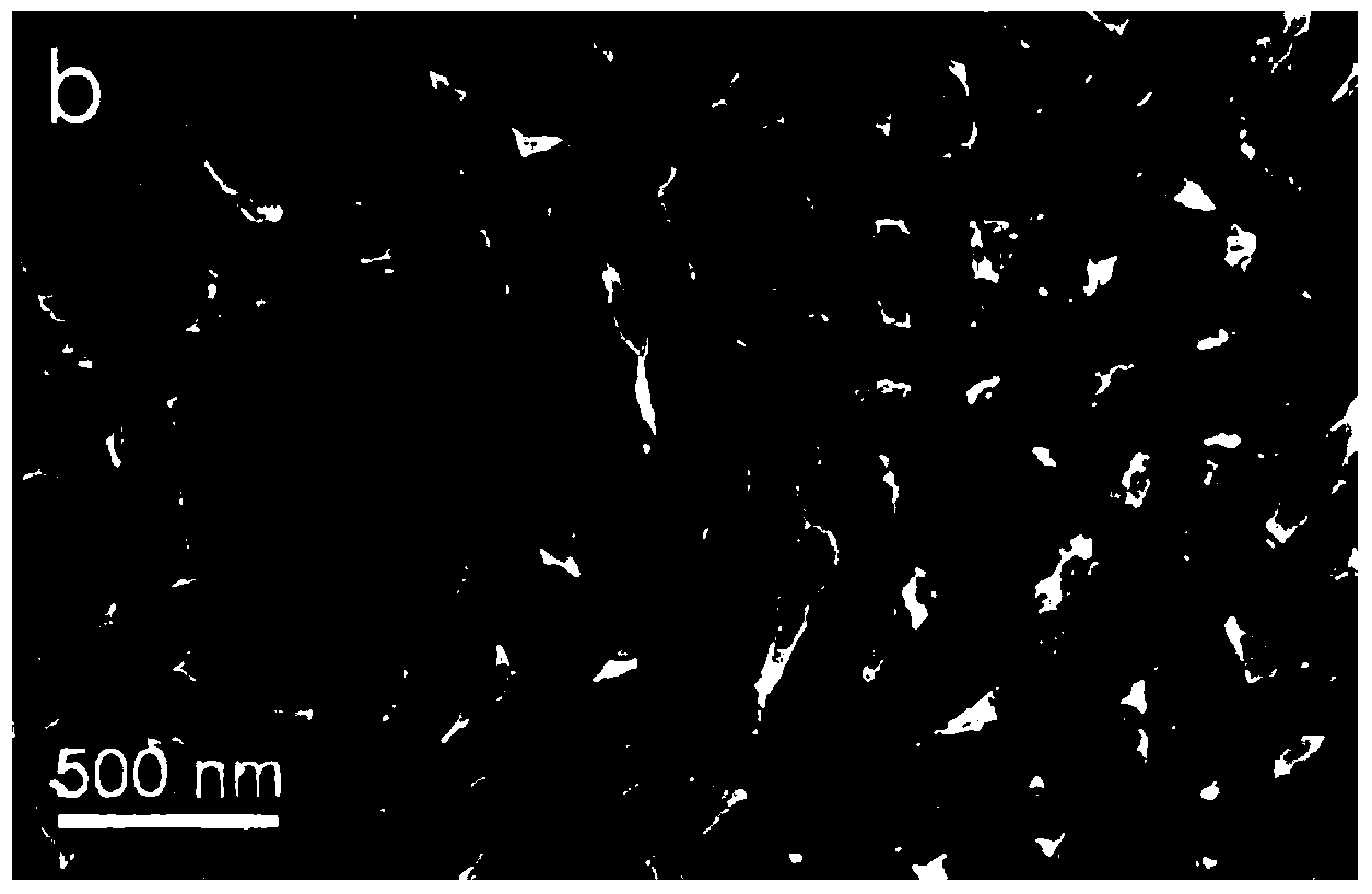 Preparation method of Fe and N-doped porous carbon nanofiber applicable to cathode catalyst for polymer fuel cell