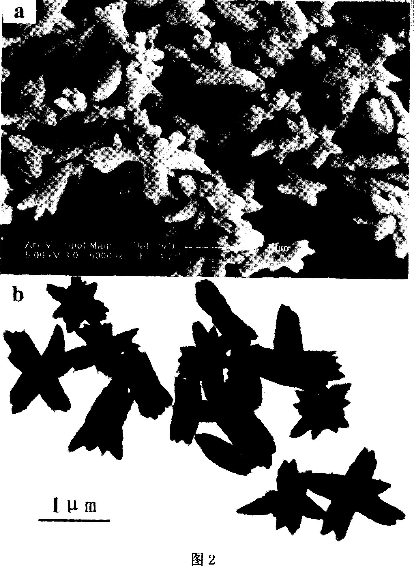 Method for preparing dielectric crystal of calcium tungstate rapidly