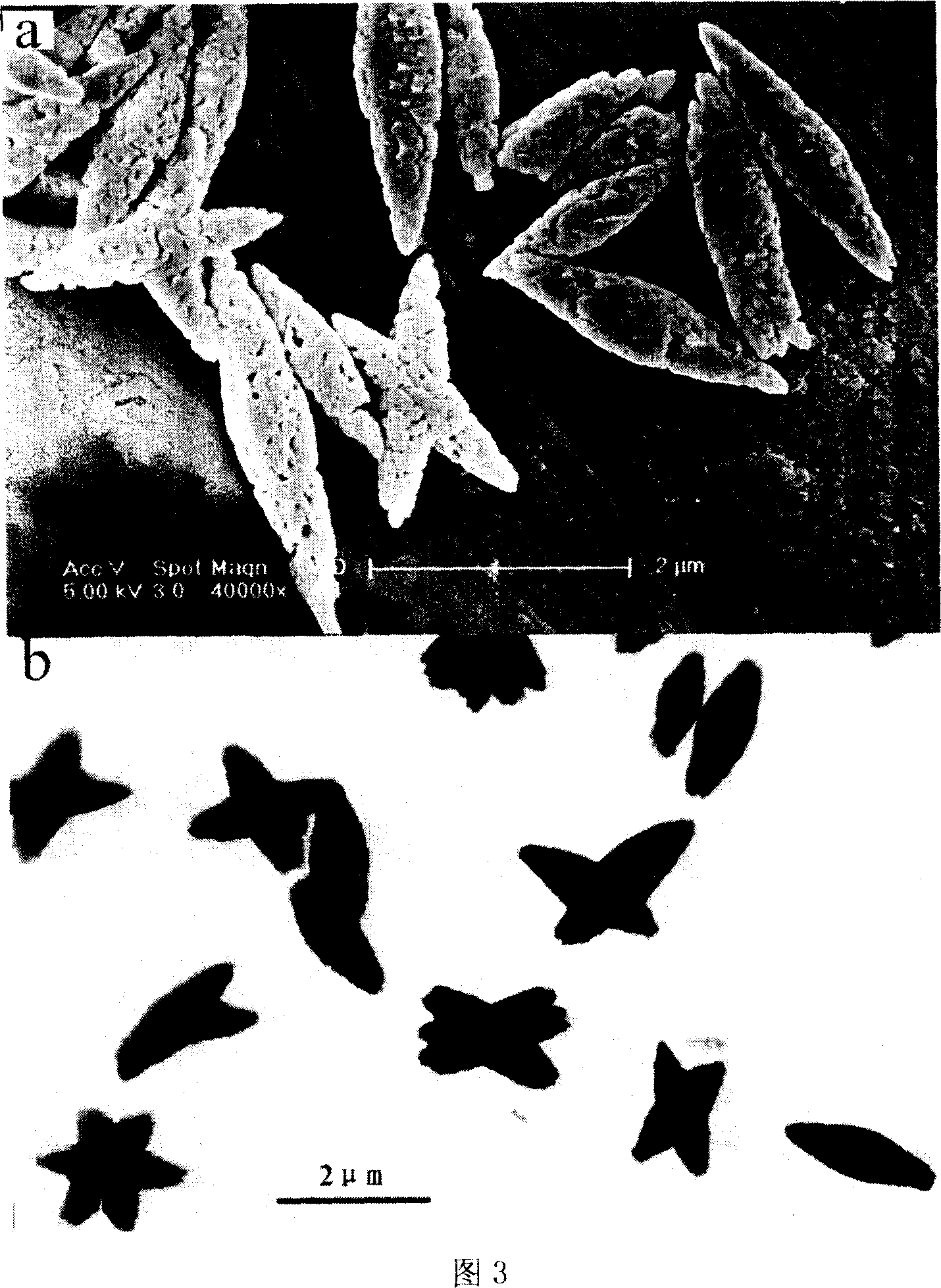 Method for preparing dielectric crystal of calcium tungstate rapidly