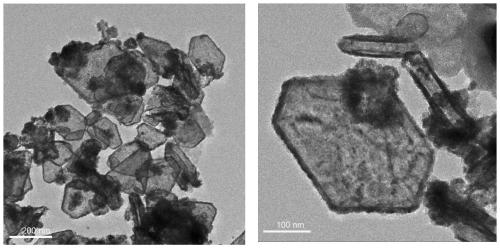 Preparation method of PdAuAg hollow nanosheet electrocatalyst