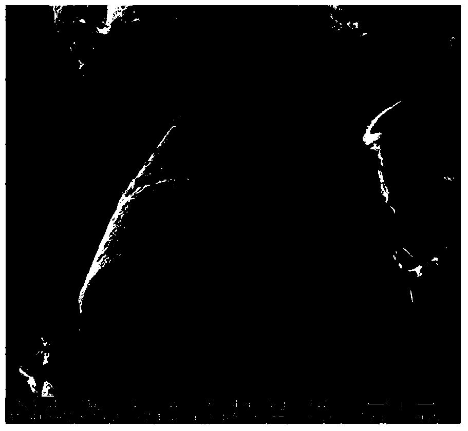 Method for treating methylene blue dye wastewater