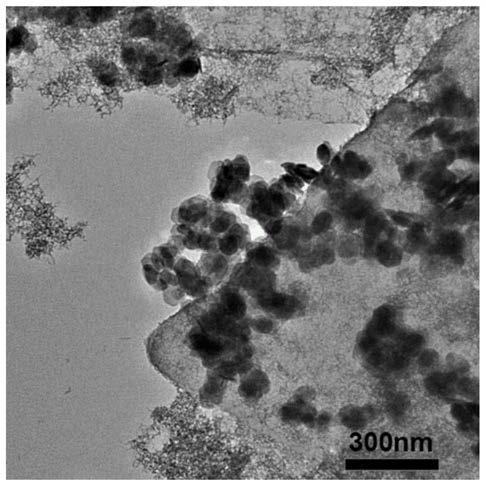 Preparation method of tin disulfide/graphene/tin dioxide ternary composite gas-sensing material for nitrogen dioxide gas sensor