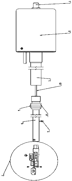 Sample holder of transmission electron microscope