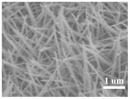 Preparation method and applications of core-shell zinc oxide@zinc oxide@molybdenum trioxide nano array composite film