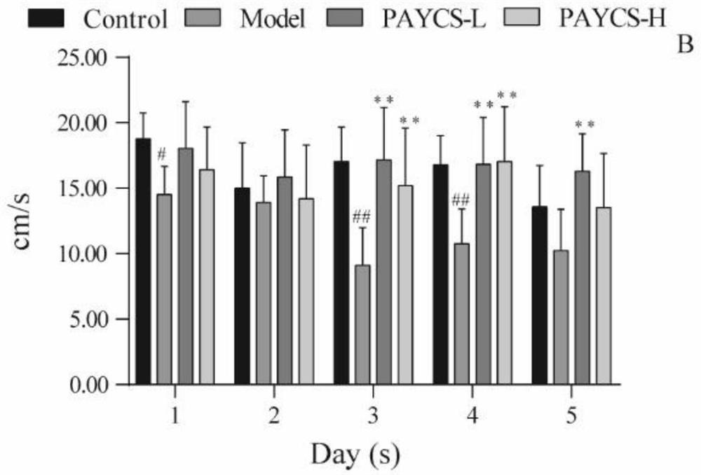 Application of PAYCS in regulation of intestinal flora, metabolite and cranial neurotransmitter