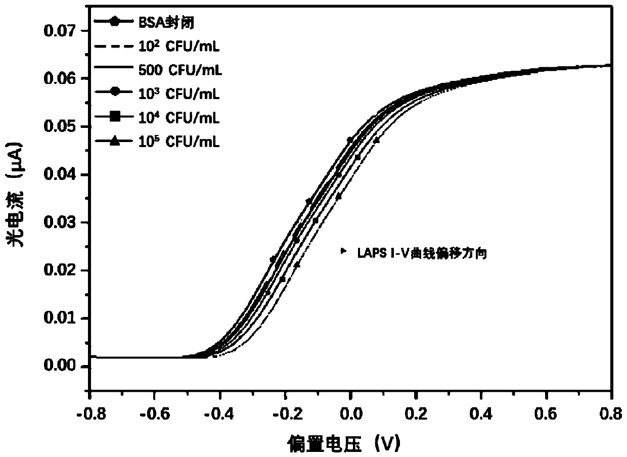 Colibacillus O157:H7DNA label-free detection device and method based on LAPS and ZnO nanorod array