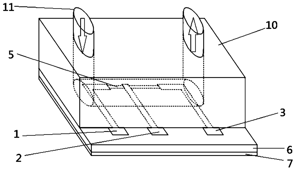 Dialysis device and silicon nanowire field-effect tube combined biosensor